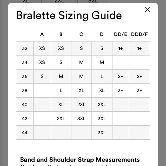 Parade Mesh Plunge Bralette - Picture 7 of 7